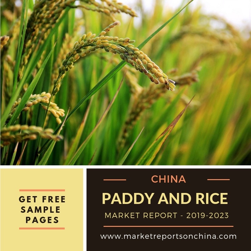 Research Report on Paddy and Rice Import in China