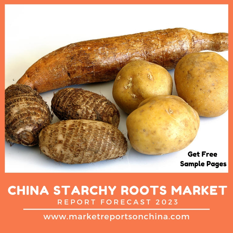 China Starchy Roots: Market Report On China