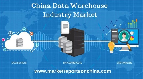 China Data Warehouse Industry Market 1
