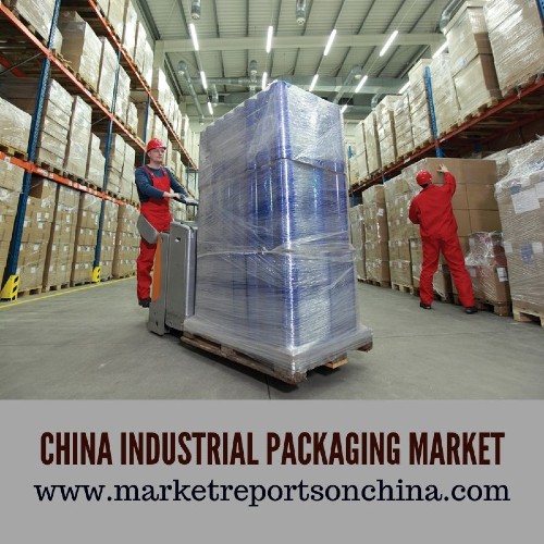 China Industrial Packaging Market 1