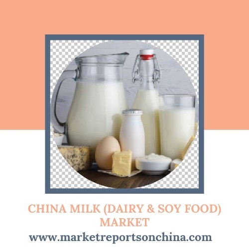 China Milk (Dairy &amp; Soy Food) Market 1