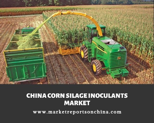 China Corn Silage Inoculants Market 1