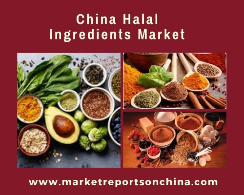 China Halal Ingredients Market