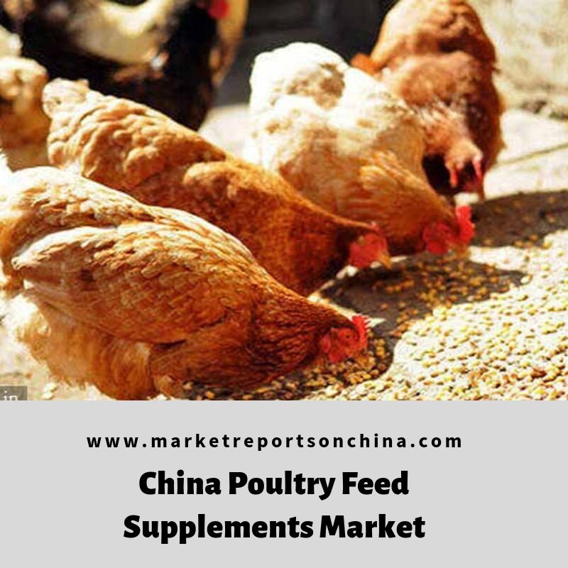 China Poultry Feed Supplements Market