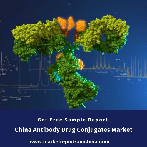 China Antibody Drug Conjugates Market 1