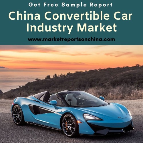 China Convertible Car Industry Market 1