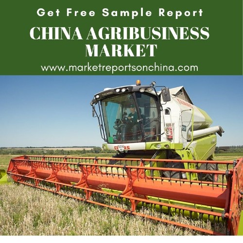China Agribusiness Market 1