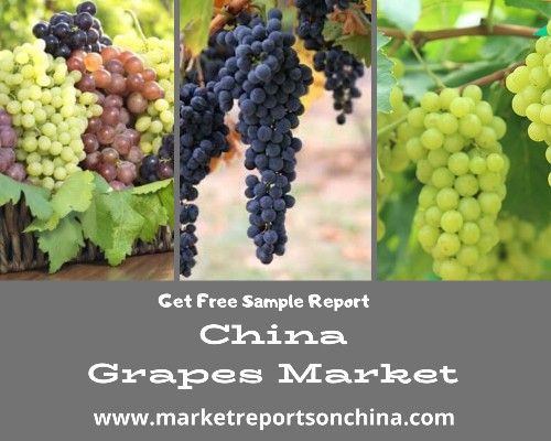 China Grapes Market 1