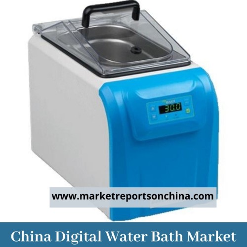 China Digital Water Bath market 1