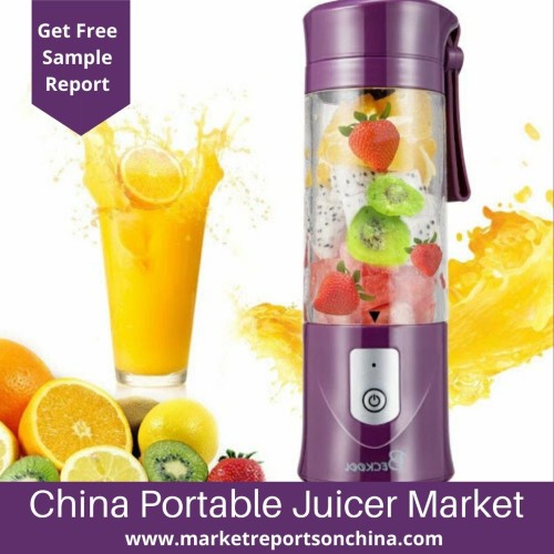 China Portable Juicer market 1