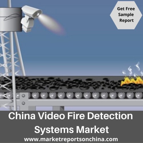 China Video Detection Systems Market 1